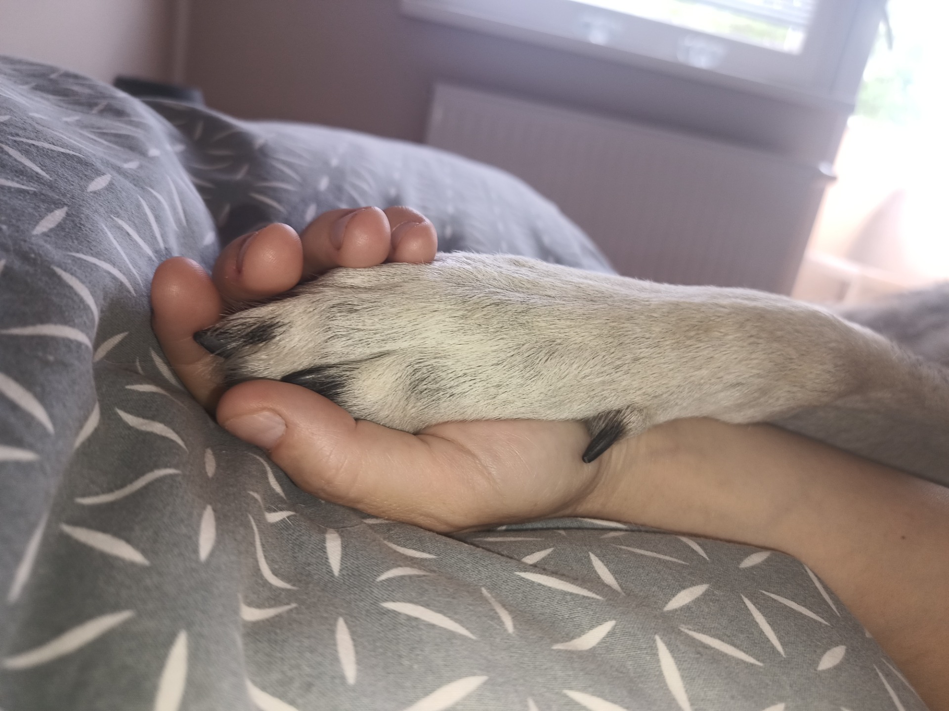 Nie vždy je ľahké niesť zodpovednosť a očakávania iných.